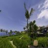 Khayangan Estate - Wedding Venue