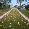 Alila Manggis - Bali Wedding Venue 