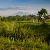 Villa Arika - Bali Wedding venue