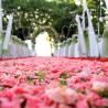 Bali Hai Lembongan - Bali Wedding Venue