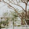Bali Padma - pool grass lawn venue 