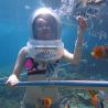 Sea Walker D`nusa in lembongan 