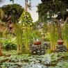 Sol Beach House - Bali Wedding Venue 