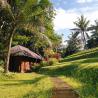 The Estate garden walkway The Arsana Estate