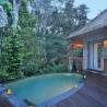 River edge pool villa 