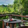 Villa Bendega Nui Ricefield View from Balcony