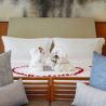 Maya Sanur Resort & Spa Bali Wedding