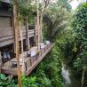 visesa ubud village padi fine dining 
