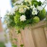 Wooden stand with green theme color 