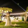 Throw bouquet by ariqa