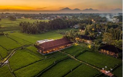 Tanah Gajah Ubud